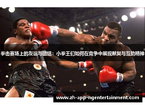 拳击赛场上的友谊与团结：小拳王们如何在竞争中展现默契与互助精神