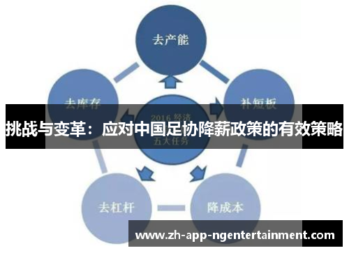 挑战与变革：应对中国足协降薪政策的有效策略