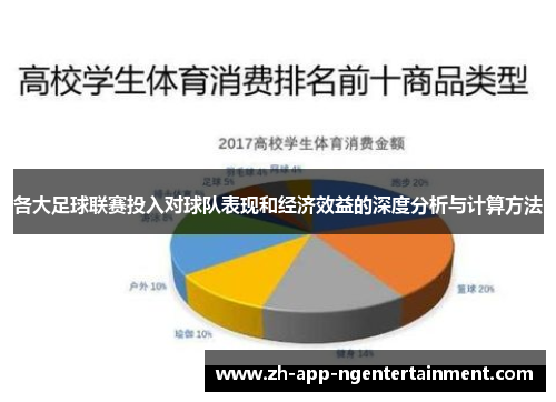 各大足球联赛投入对球队表现和经济效益的深度分析与计算方法