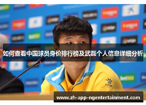 如何查看中国球员身价排行榜及武磊个人信息详细分析
