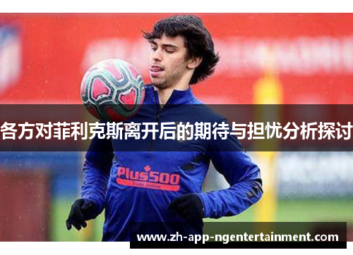 各方对菲利克斯离开后的期待与担忧分析探讨