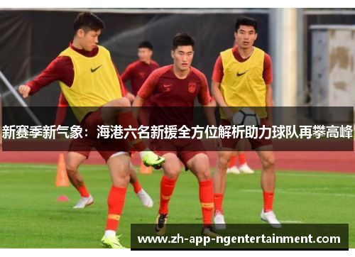 新赛季新气象：海港六名新援全方位解析助力球队再攀高峰
