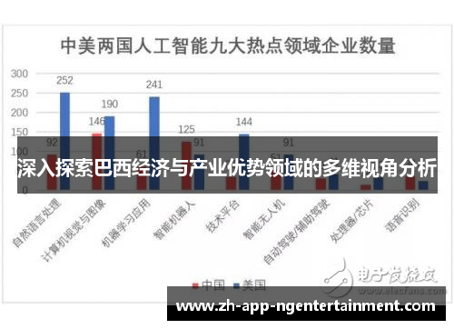 深入探索巴西经济与产业优势领域的多维视角分析