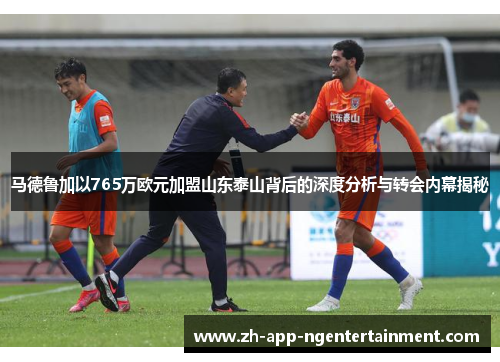 马德鲁加以765万欧元加盟山东泰山背后的深度分析与转会内幕揭秘