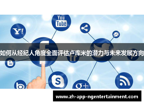 如何从经纪人角度全面评估卢库米的潜力与未来发展方向