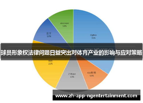 球员形象权法律问题日益突出对体育产业的影响与应对策略